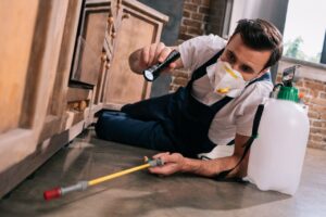 Real Cost of Skipping Pest Control: Health & Home Damage Explained
