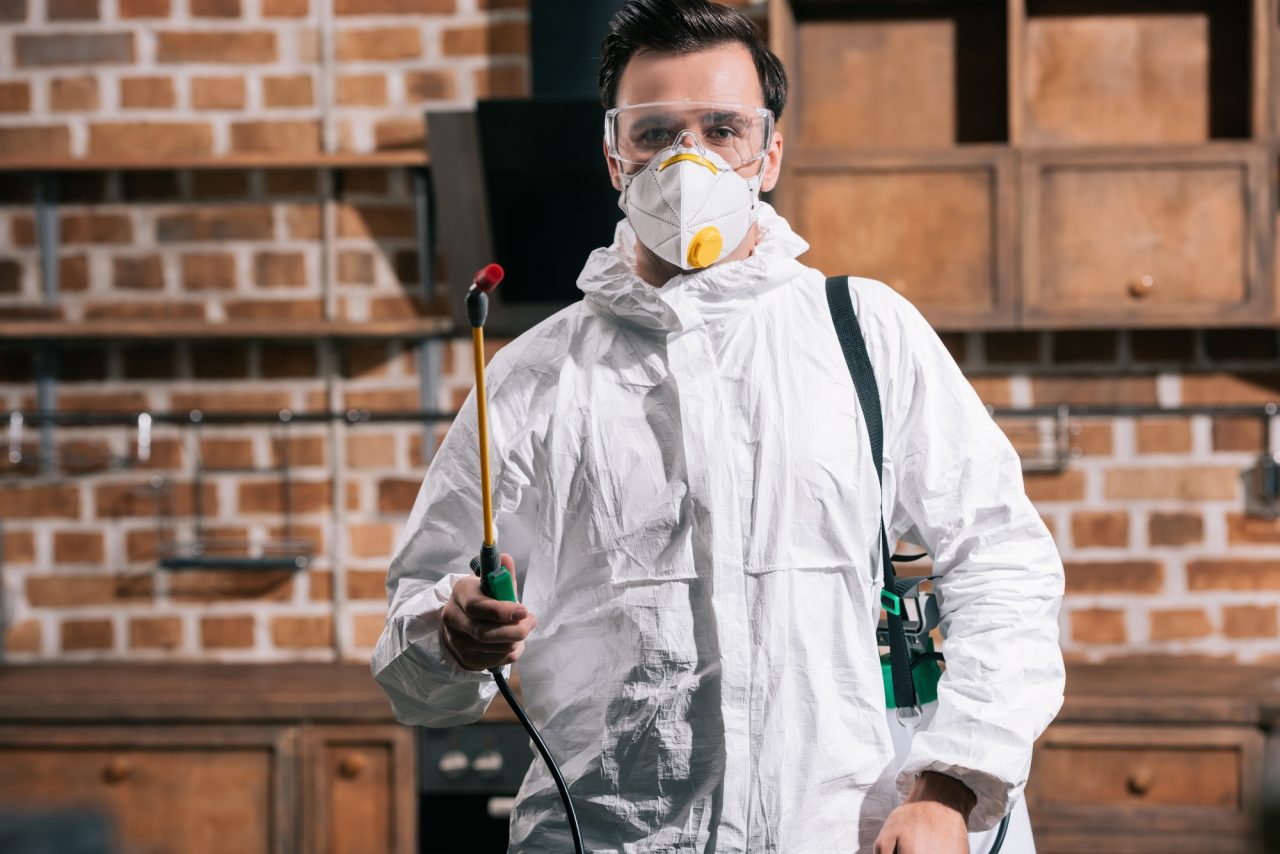 Top Mistakes People Make During Pest Control (And How to Avoid Them)
