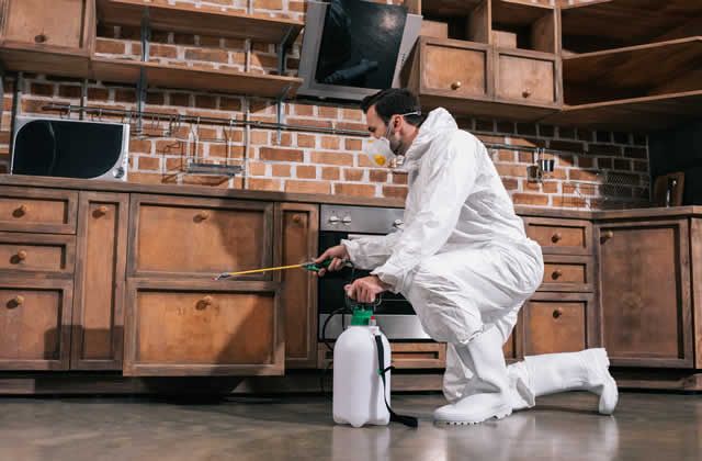General Pest Control Services in Mumbai
