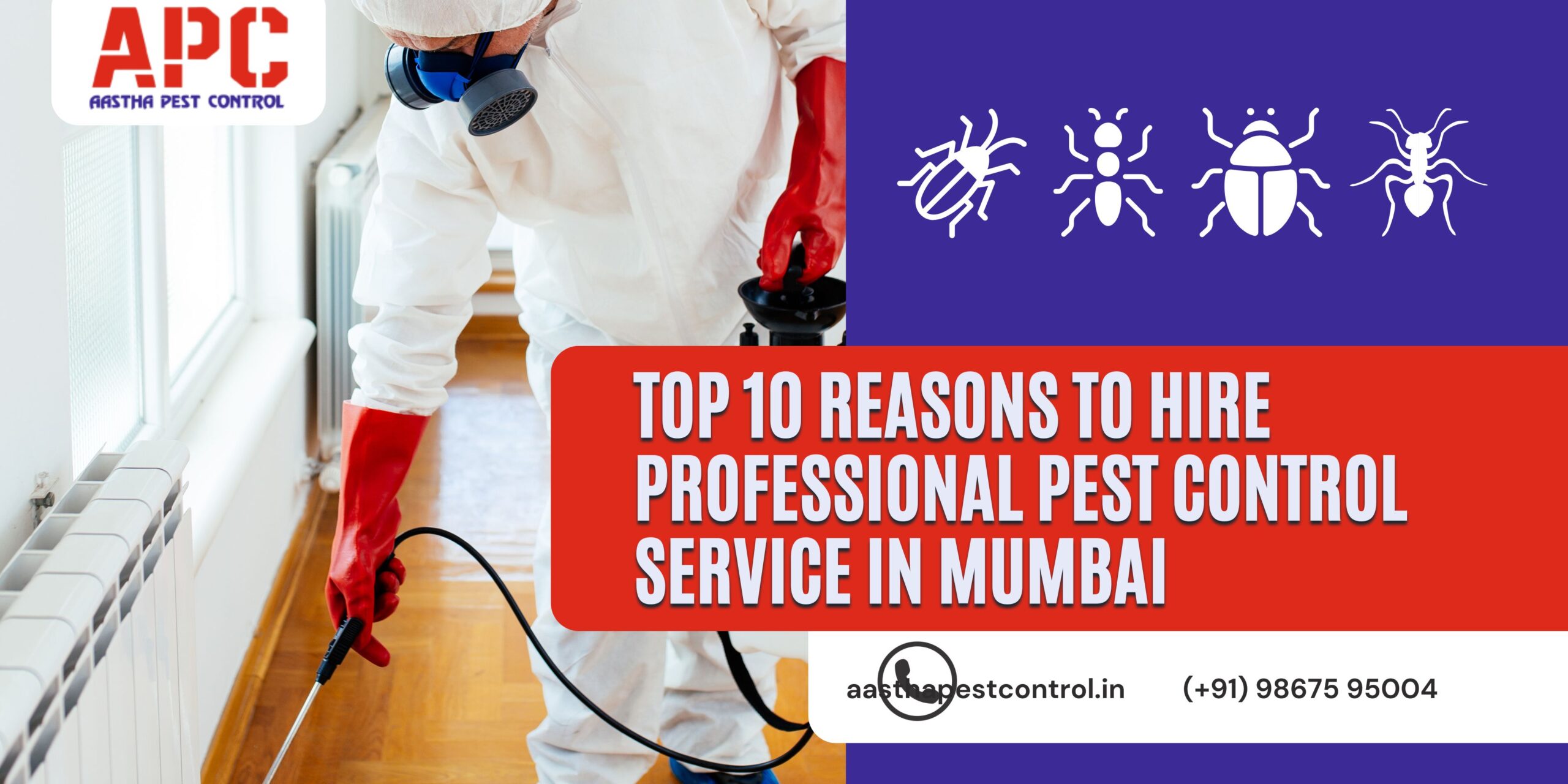 Top 10 Reasons to Hire Professional Pest Control Service in Mumbai